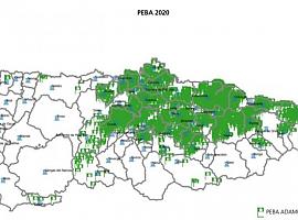 La expansión de la fibra óptica en Asturias llegará este año a más de 2.570 localidades