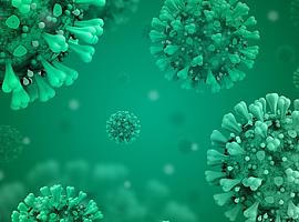 Cuatro fallecimientos y 153 nuevos contagios por coronavirus en Asturias