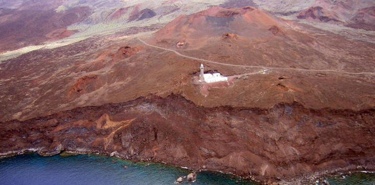 La erupción volcánica en El Hierro afectó gravemente a la fauna marina