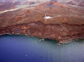 La erupción volcánica en El Hierro afectó gravemente a la fauna marina