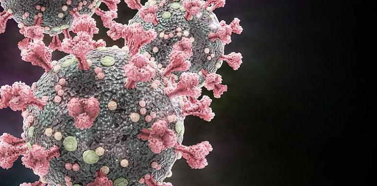 Ocho muertes más por coronavirus en Asturias y 270 nuevos casos