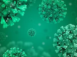 Nueve muertes más por coronavirus en Asturias y 511 nuevos positivos