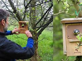 La instalación de cajas nido para aves mejora el control de plagas en los cultivos de manzano de sidra