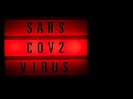 591 nuevos casos de coronavirus en Asturias con cuatro fallecimientos covid más
