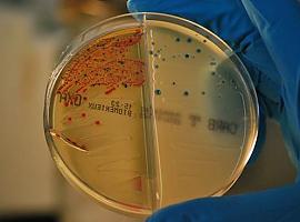 Descubierta una nueva estrategia para frenar las resistencias a los antibióticos
