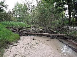  La Confederación Hidrográfica del Cantábrico invirtió 2,2 millones de euros en ríos de Asturias durante 2020 