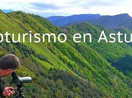 Se crea el sello “Ecoturismo en Asturias”  para la consolidación y el fomento de nuestros destinos naturales