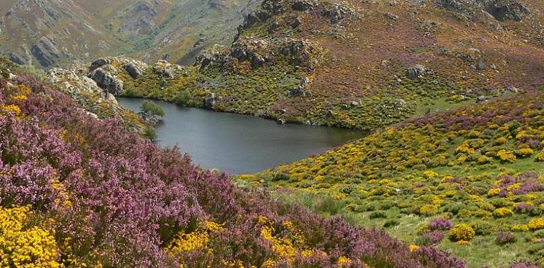 Salvemos Trevinca: Los ecosistemas de montaña, en riesgo por los nuevos proyectos eólicos del norte peninsular 