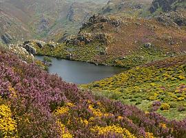 Salvemos Trevinca: Los ecosistemas de montaña, en riesgo por los nuevos proyectos eólicos del norte peninsular 