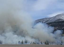 Se constituye el comité de prevención y lucha contra los incendios forestales