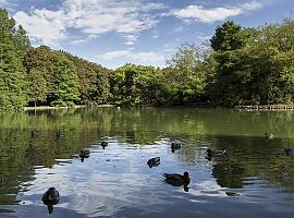 La Policía Local de Gijón cierra los principales accesos al parque Isabel La Católica por fuertes vientos