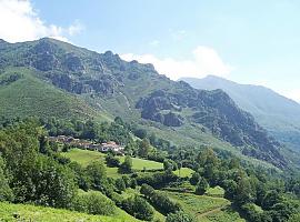 La Fundación Oso Pardo se opone a la implantación de parques eólicos en Cangas de Narcea, Somiedo y Tineo por sus impactos negativos sobre el medio ambiente y la biodiversidad 