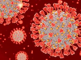 95 nuevos casos de coronavirus en Asturias y 7 muertes más