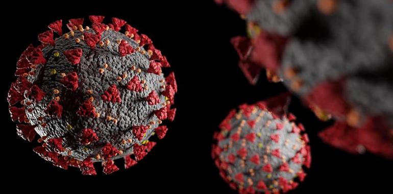 101 nuevos casos de coronavirus en Asturias, con seis fallecidos más