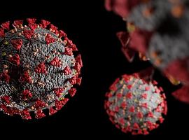 101 nuevos casos de coronavirus en Asturias, con seis fallecidos más