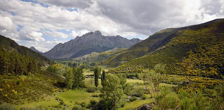 Rechazo social a los parques eólicos de Naturgy y Green Capital: León se echa al monte en defensa de la Cordillera Cantábrica 