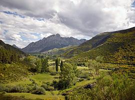 Rechazo social a los parques eólicos de Naturgy y Green Capital: León se echa al monte en defensa de la Cordillera Cantábrica 