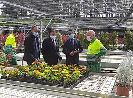 El Alcalde de Oviedo, Alfredo Canteli, visita el vivero municipal del Parque Purificación Tomás