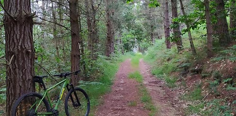 Turismo familiar esta semana en Tineo