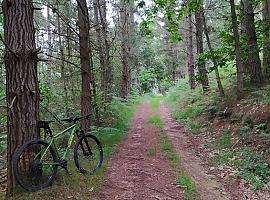 Turismo familiar esta semana en Tineo