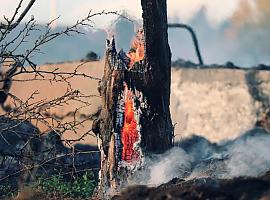 En estos momentos se contabilizan 44 incendios forestales en Asturias