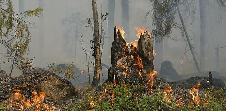 Siguen activos 6 incendios forestales en Asturias