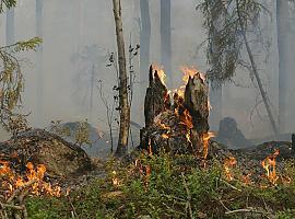 Siguen activos 6 incendios forestales en Asturias