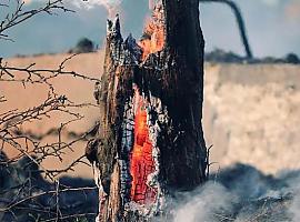 Prácticamente controlados todos los incendios que asolaban Asturias esta Semana Santa