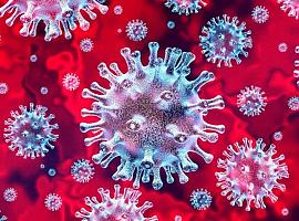 137 nuevos casos de coronavirus en Asturias el viernes y 93 el jueves