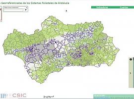 ¿Cuánto vale un bosque Ya hay una herramienta que te dice el valor de cualquier recurso natural