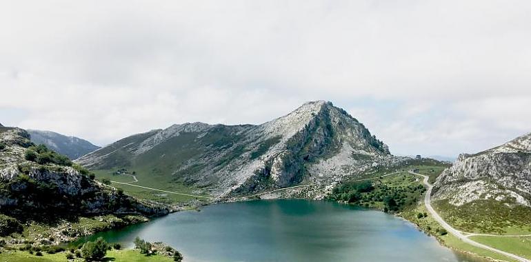 El plan especial de transporte público a los lagos de Covadonga funcionará este fin de semana