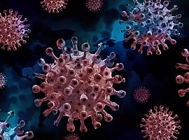 161 nuevos casos de coronavirus en Asturias