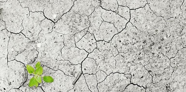 Licitación del proyecto de recuperación ambiental del suelo de los antiguos Talleres del Conde, en Langreo
