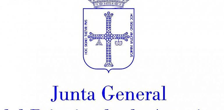 Propuesta de la Junta del Principado sobre el uso del Asturiano