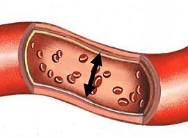 ¿Vigilas suficientemente tu tensión arterial