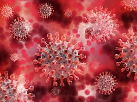 52 nuevos casos de coronavirus en Asturias sin fallecimientos covid