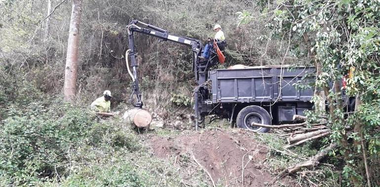 Actuaciones de la Confederación Hidrográfica del Cantábrico en varios cauces de Piloña han supuesto más de 4,5 millones de euros