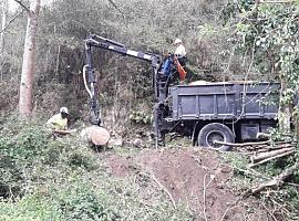 Actuaciones de la Confederación Hidrográfica del Cantábrico en varios cauces de Piloña han supuesto más de 4,5 millones de euros