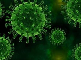 Los nuevos casos de coronavirus en Asturias bajan a 22 en un día sin fallecidos covid