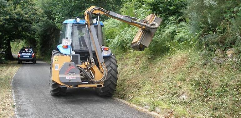 Asturias inicia la campaña anual de desbroce de carreteras