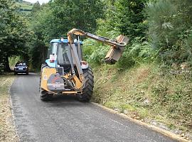 Asturias inicia la campaña anual de desbroce de carreteras