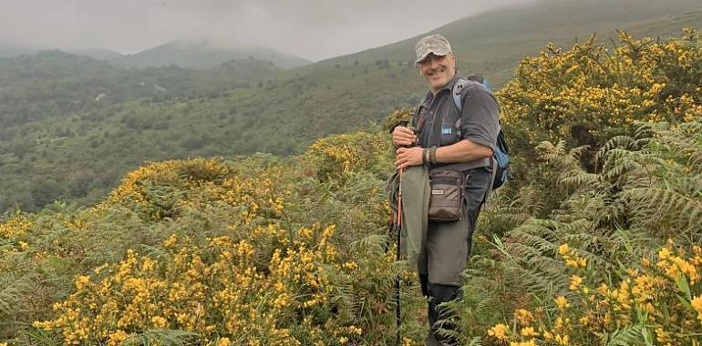 El lobo ibérico espera protección, como sus primos europeos