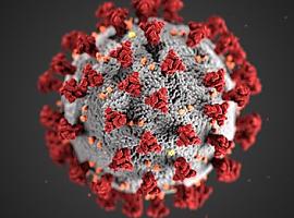 74 nuevos casos por coronavirus en Asturias, sin decesos por covid