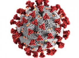 37 nuevos casos de coronavirus en Asturias bajan la contagiosidad al 235 %