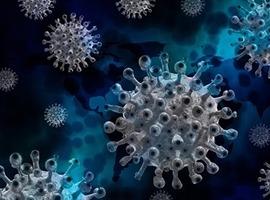 72 casos positivos de coronavirus en Asturias