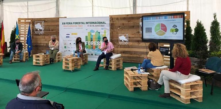La Dirección General de Calidad Ambiental manifiesta el compromiso del ejecutivo asturiano en la jornada técnica Asturforesta