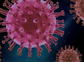 Un estudio desarrollado en España identifica moléculas que frenan la entrada del coronavirus en las células