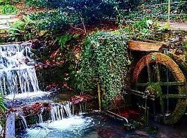 El Jardín Botánico de Gijón presenta la campaña INSPIRA con la que se pretende invitar a “redescubrir” el recinto