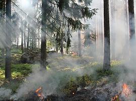 El Gobierno de Asturias publica las medidas para la prevención de incendios forestales en verano