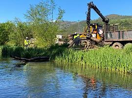 Se han completado las actuaciones de la Confederación Hidrográfica del Cantábrico en varios cauces de ríos en Grado